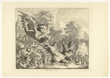 Pelea de gallos Diversas aves (título de la serie)