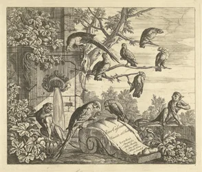 Loros y monos en una fuente de jardín Aves diferentes (título de la serie)