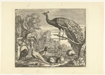Pavo real, conejos y otras aves junto a una fuente de jardín Diversas aves (título de la serie)