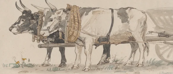 Dos Bueyes Tirando de un Carro, 1874