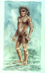 Hombre de Boxgrove, Prehistórico