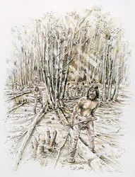 Usos del pedernal - desramado, Prehistórico, c1990-2010