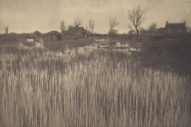 Una orilla rústica