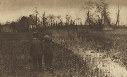 Un sapo en el camino: comienzos de primavera en Norfolk