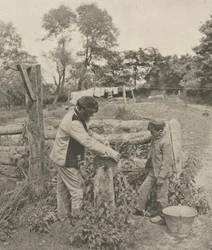 En la piedra de afilar--Un corral en Suffolk, 1888
