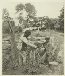 En la piedra de afilar - Una granja en Suffolk