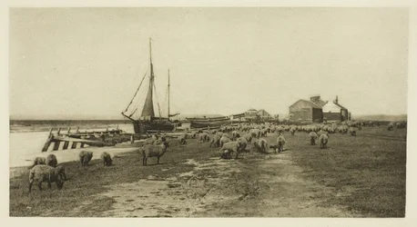 Blackshore, río Blythe (Suffolk)