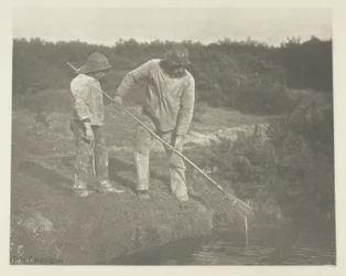 Recolección de Anguilas en Aguas de Suffolk