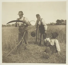 En la cosecha de cebada (Suffolk)