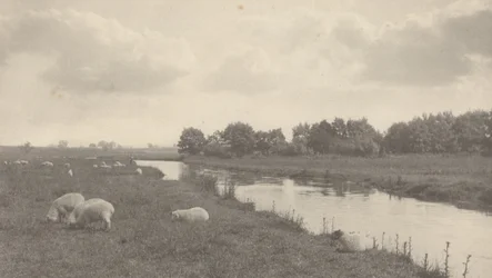 En el río Bure,1886 (foto)