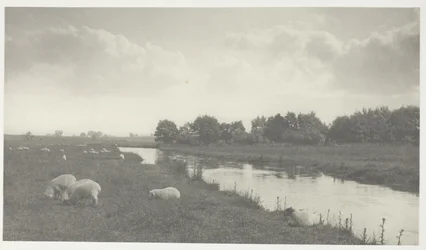 En el río Bure