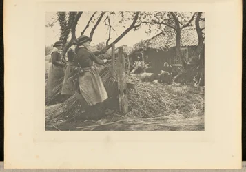 MimbrePeeling. [Norfolk]].