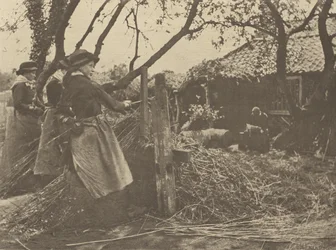 MimbrePeeling. [Norfolk]].