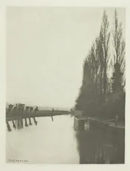 Álamos y Pollards en el Lea, cerca de Broxbourne