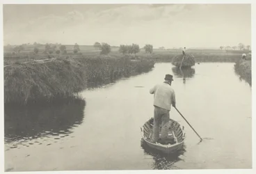Cuantificación del heno de los pantanos