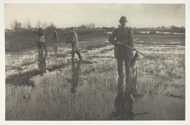 Snipe-Shooting