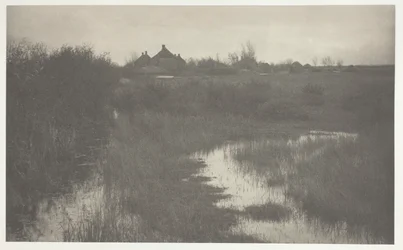 La orilla del pantano