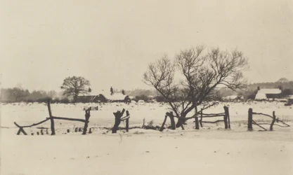 Los pantanos nevados