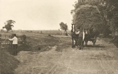 La riqueza de las marismas