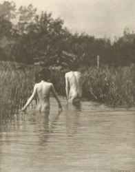 Bebés de agua
