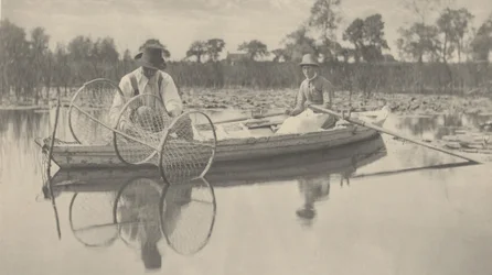 Colocando la Red de Arco