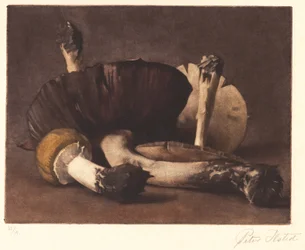 Champiñón amarillo