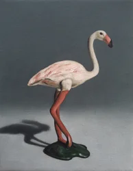 Flamenco rosa