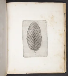 Impresión de la hoja