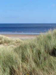 Costa de Durham No.1, 2015