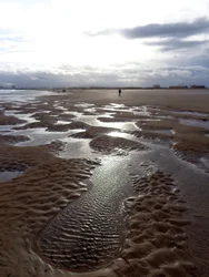 Marea baja Hartlepool, 2016