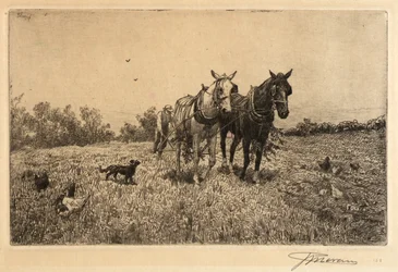 (Arado de otoño)