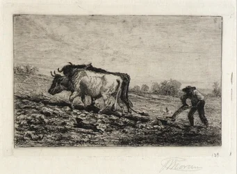 (Primavera)