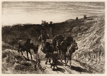 Un tren de burros, Nuevo México