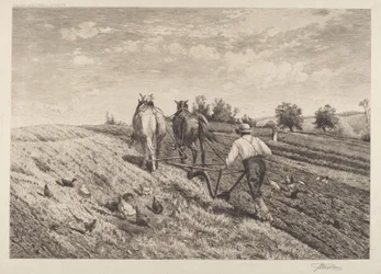 El labrador