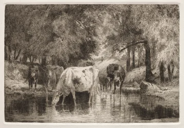 La piscina