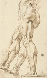 Estudio de écorché de las piernas de un desnudo masculino, con un estudio subsidiario de la pierna derecha