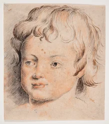 Cabeza de niño