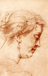 Perfil de cabeza femenina