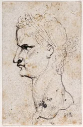 Cayo Calígula, de diez dibujos de ocho de los primeros doce Césares, después de las medallas de Giovanni da Cavino