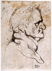 Galba, de diez dibujos de ocho de los primeros doce Césares, después de las medallas de Giovanni da Cavino