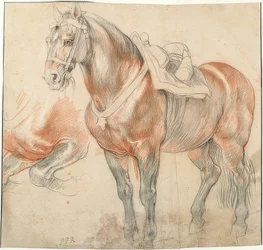 Caballo ensillado