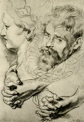 Estudios de cabeza y mano