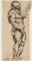 Hércules
