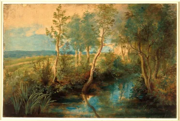 Paisaje con arroyo cubierto de árboles