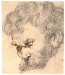 Estudio de «Sansón y el león». El rostro de Sansón