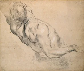 Estudio de un torso masculino desnudo, 1600-1640