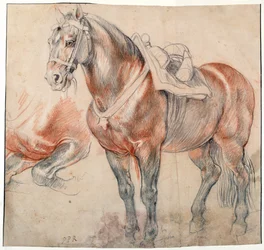 Un caballo ensillado