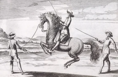 Ilustración de un caballo en Croupade del Nuevo Tratado para la Cría de Caballos escrito por Winters, Stuterey y Reit-Schul, pub. 1672