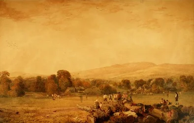 Los jugadores de críquet
