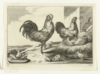 Gallina, gallos y pollitos Especies de Diversarum avium (título de la serie) Aves diferentes (título de la serie)